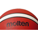 Molten Basket BG2010