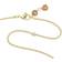 Swarovski Orbita Drop Cut Necklace - Gold/Multicolour