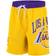 Nike Los Angeles Lakers 75th Anniversary Courtside Fleece Shorts Men