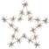 Star Trading Flower Transparent Julstjärna 60cm