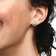 Pandora Halo Stud Earrings - Gold/Transparent