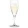 Holmegaard Perfection Champagneglas 23cl 6st