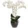 Mr Plant Phalaenopsis Konstgjord växt