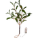 Star Trading Branch of Mistletoe Green Julpynt 35cm