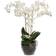 Mr Plant Phalaenopsis Konstgjord växt