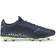 Puma Youth Future 4.4 FG/AG - Blue/Fizzy Light/Pistachio