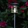 Star Trading Solar Energy Path Light Markbelysning 64.5cm