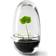 Design House Stockholm Grow Mini Greenhouse S Glas