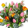 Blommor till begravning & kondoleanser Colorful Tulips Blandade blommor