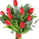 Kärleksblommor Red Tulips Blandade blommor