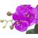 Europalms Orchid Arrangement 4 Konstgjord växt