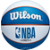 Wilson Washington Wizards Retro Mini Basketball