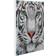 Aucune Craft Buddy White Tiger Face DIY Crystal Art Canvas Kit