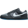 Nike Dunk Low M - Anthracite/Cool Grey/Industrial Blue/Pure Platinum