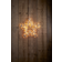 Star Trading Flower Transparent Julstjärna 60cm