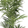 Newport Kentia Palm Green Konstgjord växt