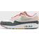 Nike Air Max 1 M - Light Soft Pink/Anthracite/Adobe/Vapor Green