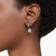 Swarovski Stilla Drop Earrings - Silver/Transparent