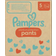 Pampers Premium Protection Pants Size 5 12-17kg 144pcs