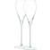 LSA International Prosecco Champagneglas 25cl 2st