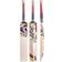 Kookaburra Beast 6.2 Cricket Bat, Red/Black/Yellow, Short Grip