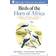 Birds of the Horn of Africa (Häftad, 2011)