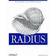 Radius: Securing Public Access to Private Resources (Häftad, 2002)