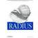 Radius: Securing Public Access to Private Resources (Häftad, 2002)